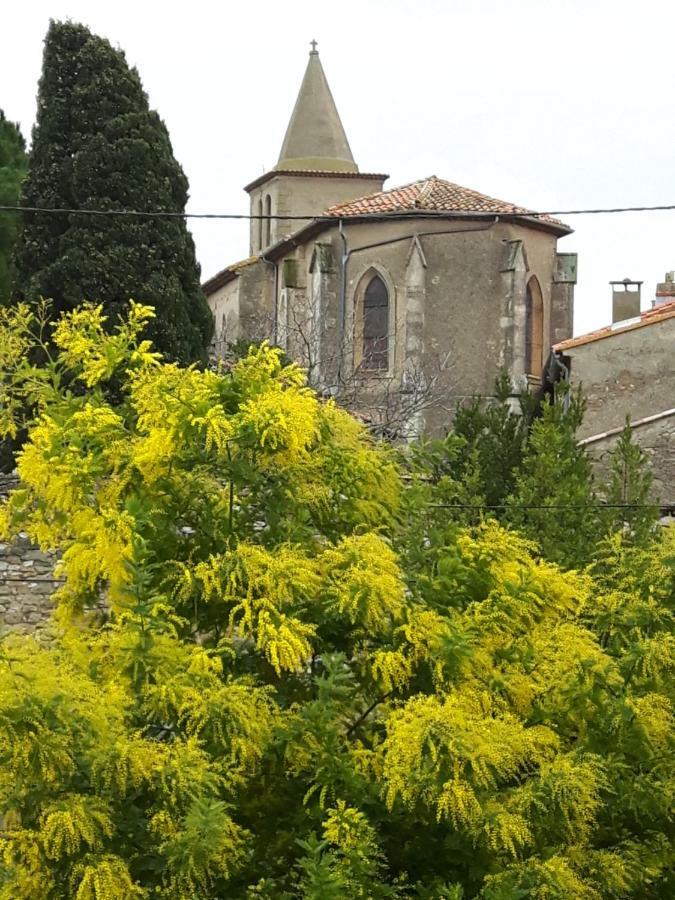 La Vigne Des Heures Claires Saint-Nazaire-d'Aude Εξωτερικό φωτογραφία